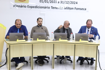 33ª reunião ordinária 