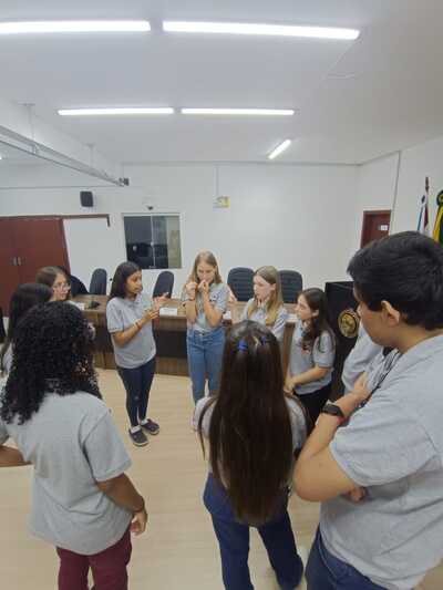 Câmara Mirim