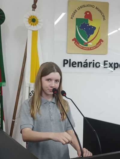 Câmara Mirim