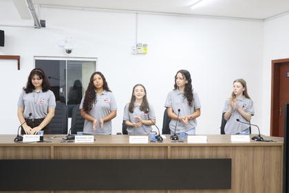 Câmara Mirim