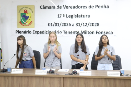 Câmara Mirim