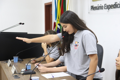 Câmara Mirim