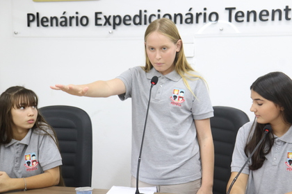 Câmara Mirim
