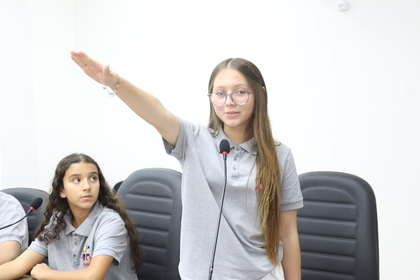 Câmara Mirim