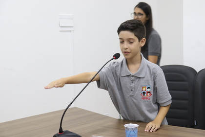 Câmara Mirim