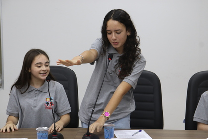 Câmara Mirim
