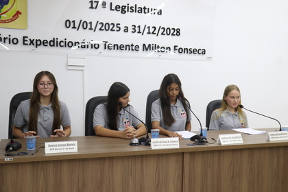 Câmara Mirim