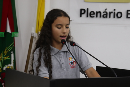 Câmara Mirim