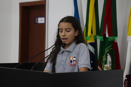 Câmara Mirim