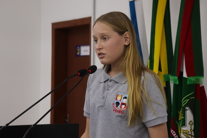 Câmara Mirim