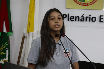 Câmara Mirim