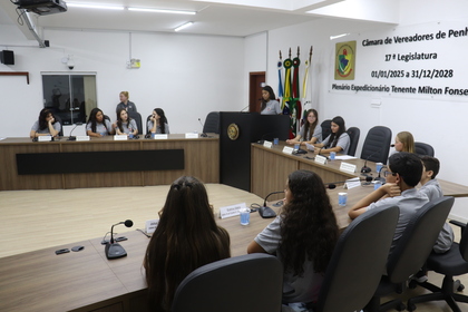 Câmara Mirim