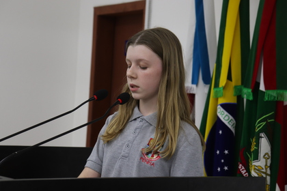 Câmara Mirim