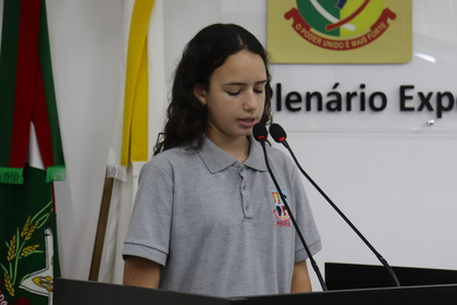 Câmara Mirim