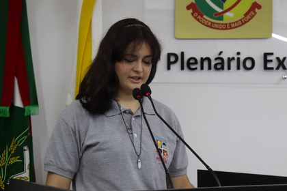 Câmara Mirim