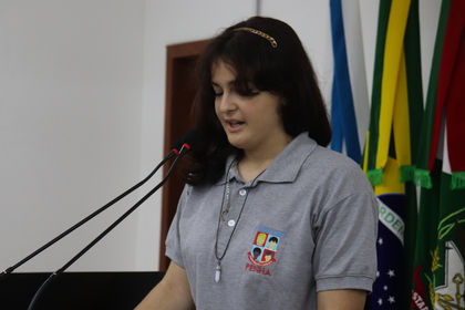 Câmara Mirim
