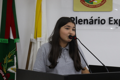 Câmara Mirim
