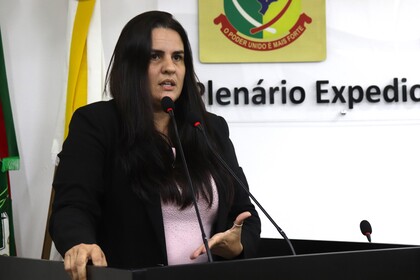 17ª Reunião Ordinária 