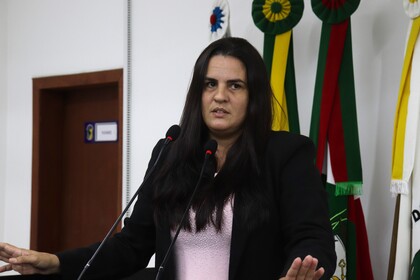17ª Reunião Ordinária 