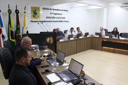 17ª Reunião Ordinária 