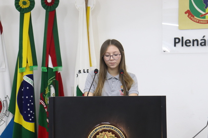 Programa Câmara Mirim 
