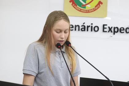 Programa Câmara Mirim 