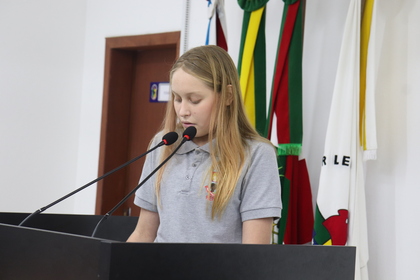 Programa Câmara Mirim 