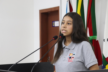 Programa Câmara Mirim 