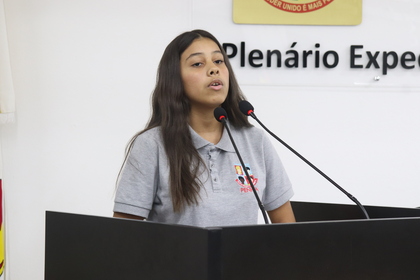 Programa Câmara Mirim 