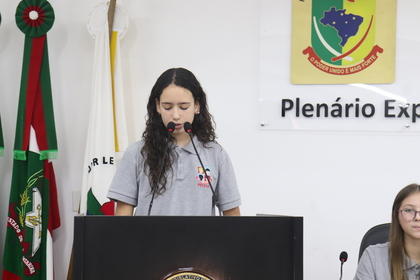 Programa Câmara Mirim 