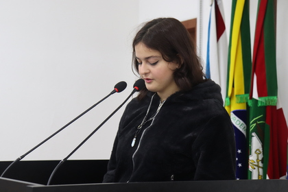Programa Câmara Mirim 