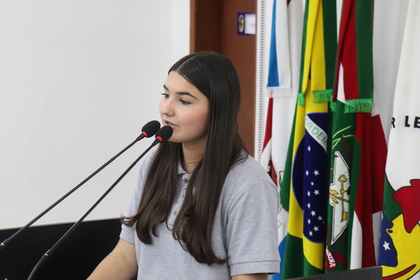 Programa Câmara Mirim 