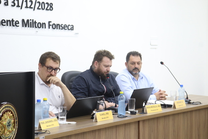 PPA 2026-2029