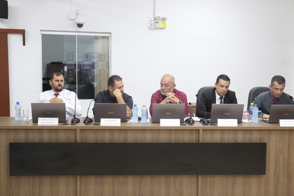 46ª Reunião Ordinária 