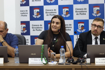 46ª Reunião Ordinária 